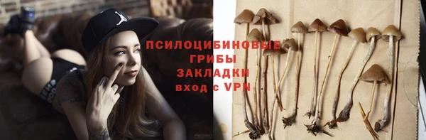 мяу мяу мука Абдулино