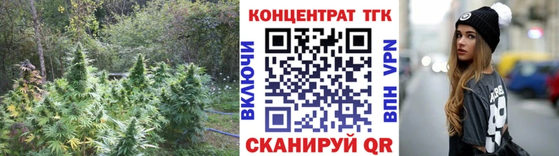 закладка Киренск Дистиллят ТГК концентрат