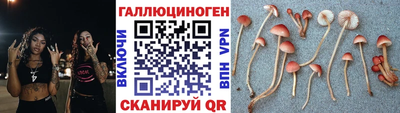 Псилоцибиновые грибы GOLDEN TEACHER наркота гидра вход Киренск